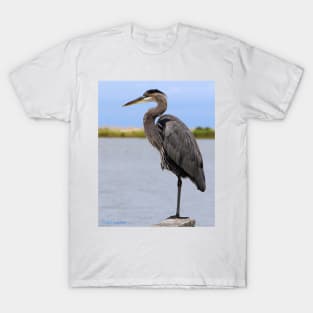 Royal Blue Heron T-Shirt